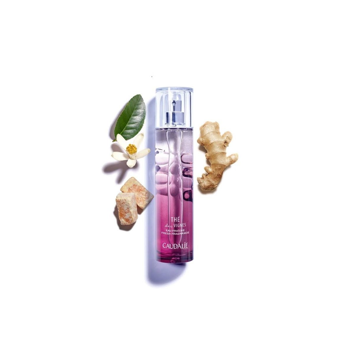 caudalie the des vignes 50ml