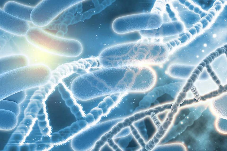 Uso de probióticos durante el tratamiento antibiótico